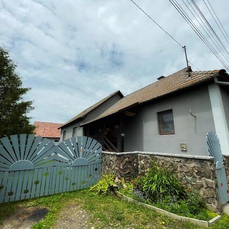 Casa De Oaspeti Cristina Fitod Exterior foto
