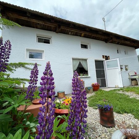 Casa De Oaspeti Cristina Fitod Exterior foto