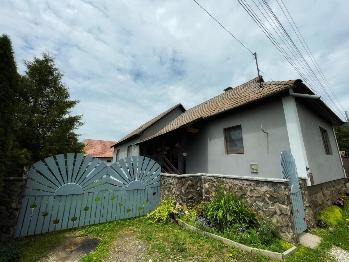 Casa De Oaspeti Cristina Fitod Exterior foto
